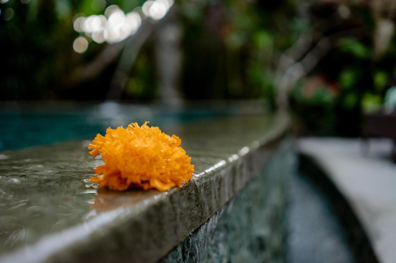 D'Bale Ananda Ubud Villa Exteriér fotografie