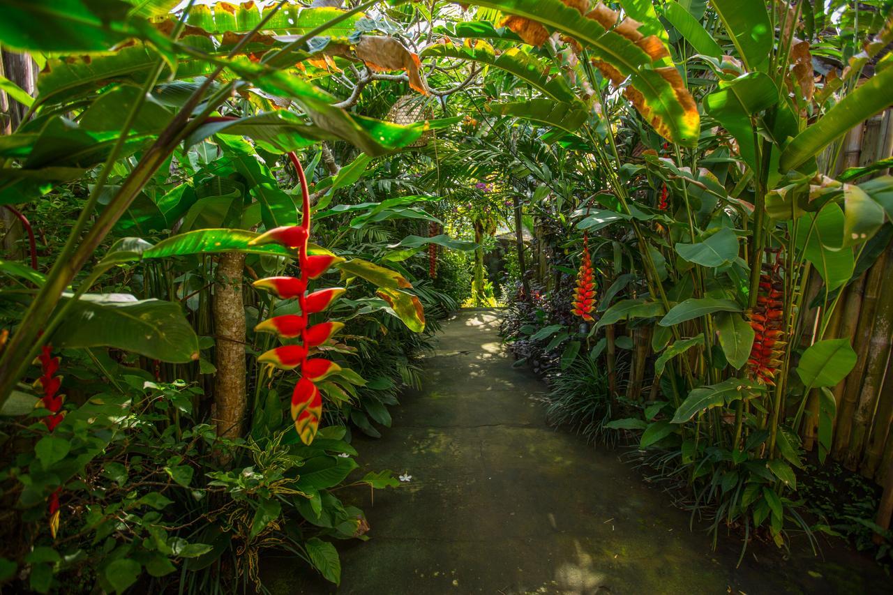 D'Bale Ananda Ubud Villa Exteriér fotografie